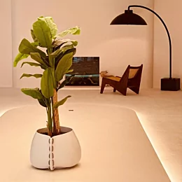 Decofire New Showroom
ecosmartfire mdesignfireplaces